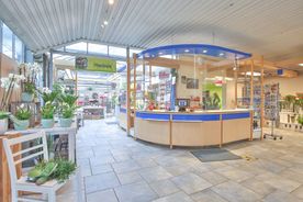 Landgärtnerei Lehnert in Meerbeck bei Stadthagen
