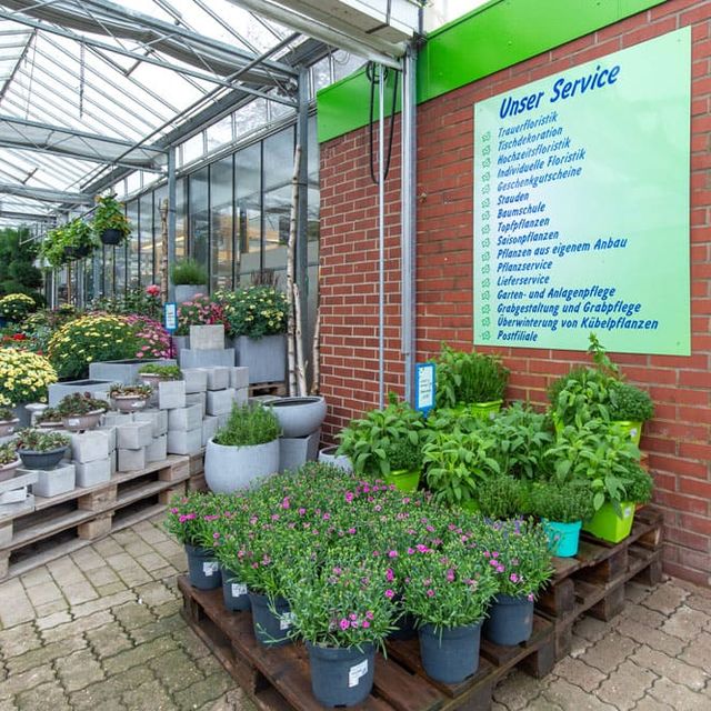 Landgärtnerei Lehnert in Meerbeck bei Stadthagen