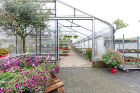 Landgärtnerei Lehnert in Meerbeck bei Stadthagen