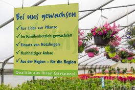 Landgärtnerei Lehnert in Meerbeck bei Stadthagen